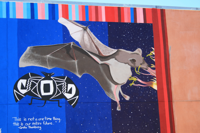 Mimbres bat figure juxtaposed with modern bat image